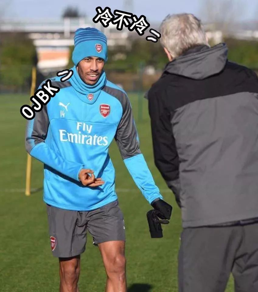 今夜孟菲斯灰熊临场应变——国王杯节点到来，信心回归，身体对抗强度拉满的简单介绍